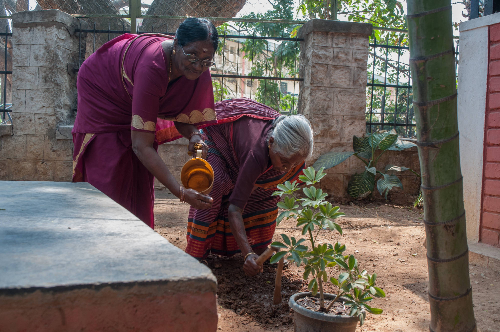 Elders doing gardening at SK